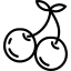 Kiraz Fidanı