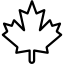 Asma Fidanı