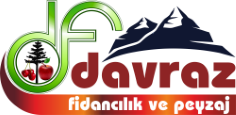 Davraz Fidancılık